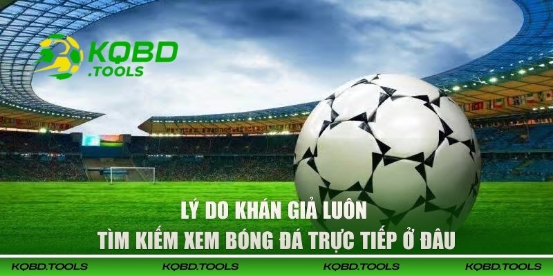 Lý do khán giả luôn tìm kiếm xem bóng đá trực tiếp ở đâu