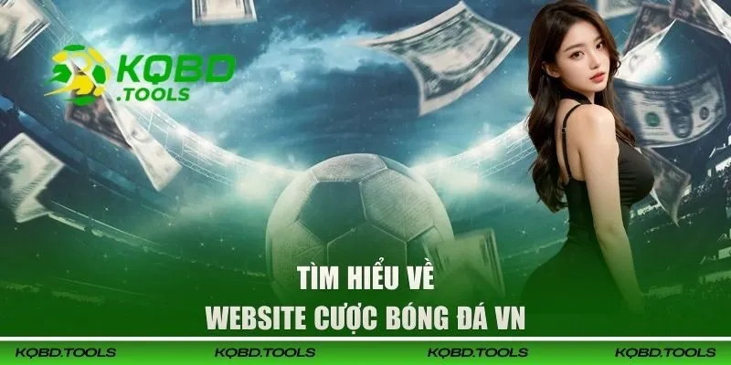 Tìm hiểu về website cược bóng đá VN
