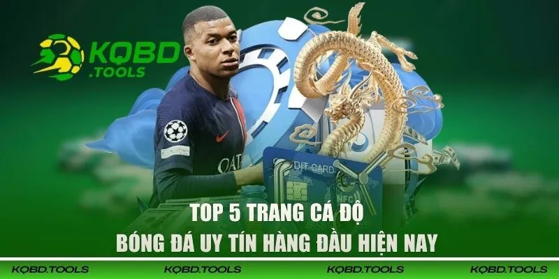 Top 5 trang cá độ bóng đá uy tín hàng đầu hiện nay 