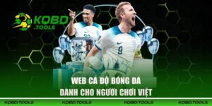 Web Cá Độ Bóng Đá